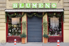 Blumen Sonja Scheidl: 1070 Wien, Siebensterngasse 33