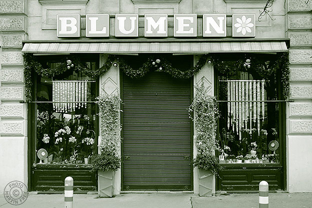 Blumen Sonja Scheidl: 1070 Wien, Siebensterngasse 33