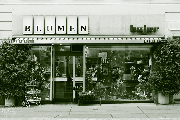 Blumen Bajer: 1030 Wien, Fasangasse 3