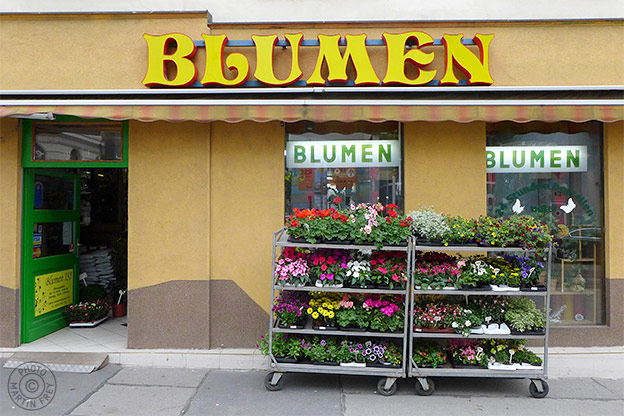 Blumen Claudia: 1160 Wien