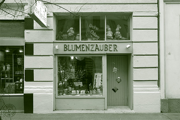 Blumenzauber - Sabine Cengiz-Klir: 1050 Wien