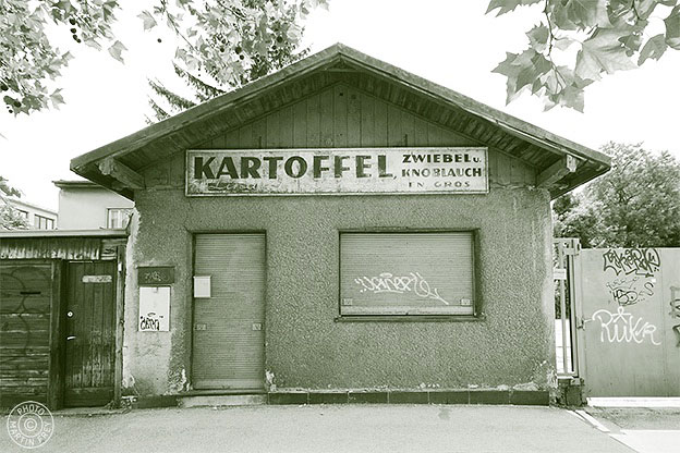 Kartoffel Zwiebel und Knolblauch en gros: 1200 Wien