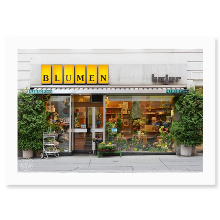 Graf-Freys-Geschaefte-mit-Geschichte-Wien-Blumen-Bajer-Foto-Martin-Frey
